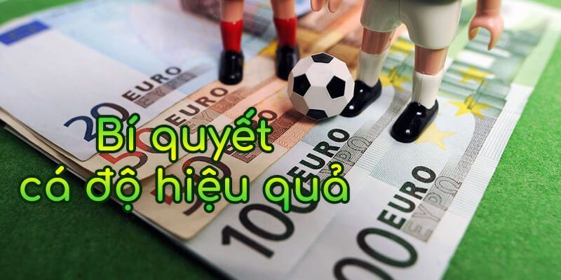 Bí quyết chọn kèo cá cược bóng đá cực chuẩn 